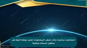 «مشاهدة ساحرة» زخات شهب البرشاويات تصل ذروتها الليلة هل ستكون السماء صافية؟